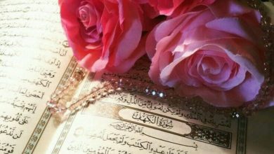 أفضل 3 مراكز تحفيظ القرآن في أبو ظبي