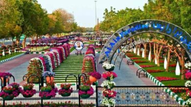 أفضل 3 حدائق في أبوظبي